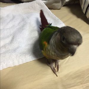 Meet your Posher, Isabel