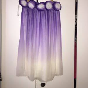 Alice and Olivia Ombré Dress