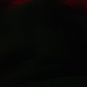 Meet your Posher, Lahela