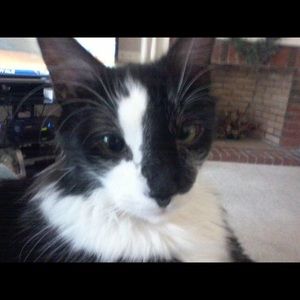 Meet your Posher, Lindsey