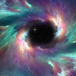 Meet your Posher, Donovan