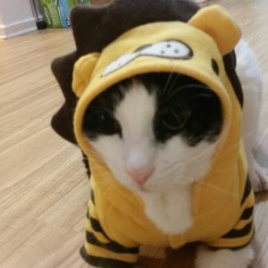 Meet your Posher, M eng ying