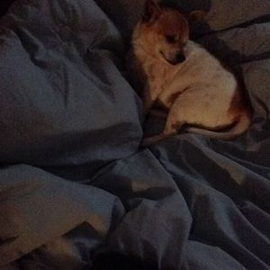 Meet your Posher, Elena