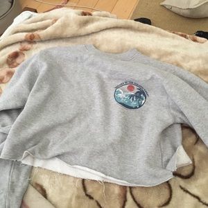 Brandy Melville Gray Cropped Sweater