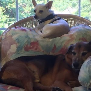 Meet your Posher, Maria