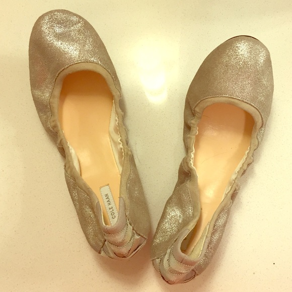 Cole Haan Ballet Flats- Platinum Metallic Suede