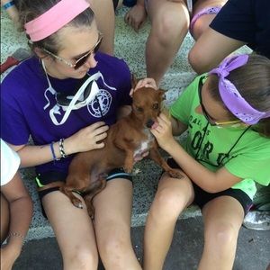 Meet your Posher, Mallory