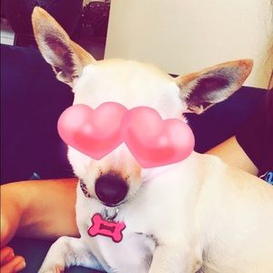 Meet your Posher, Chloe