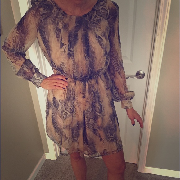 Adorable Lucy and co snake print dress