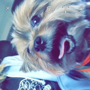 Meet your Posher, Sabrina