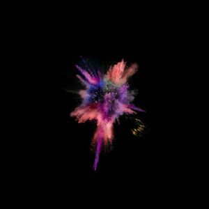 Meet your Posher, Spencer