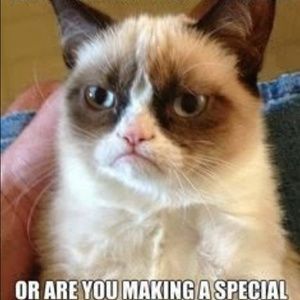 Meet your Posher, Rebecca