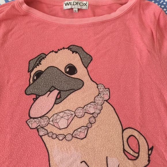 Wildfox dog sweater!