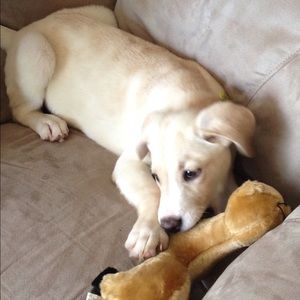 Meet your Posher, Kelly