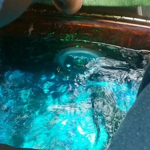 Meet your Posher, Robyn