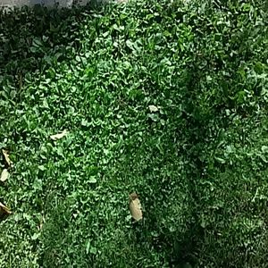 Meet your Posher, Arianna