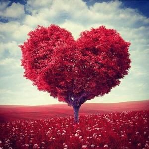 Meet your Posher, Nancy eric