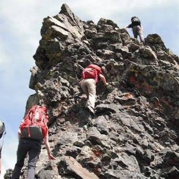 Meet your Posher, Anita - Picture 1 of 1