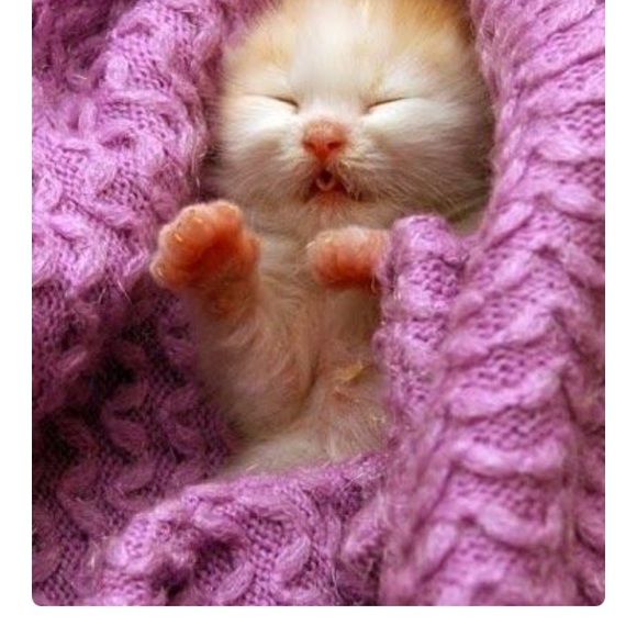 Meet your Posher, Tiara - Picture 1 of 1