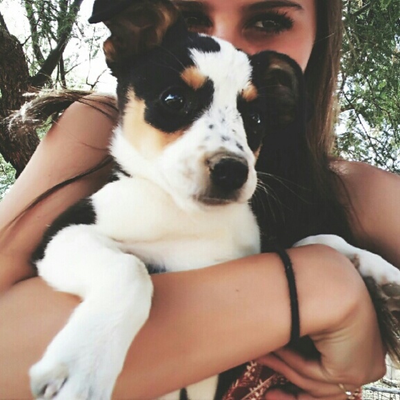 Meet your posher - Picture 4 of 4