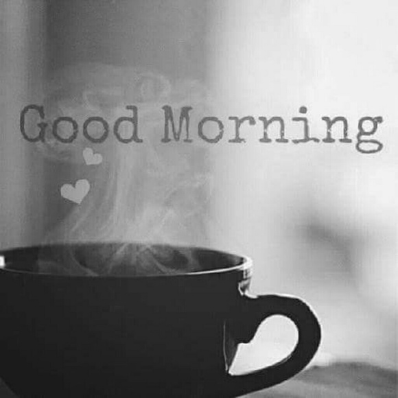 Meet your Posher, Julia - Picture 3 of 4