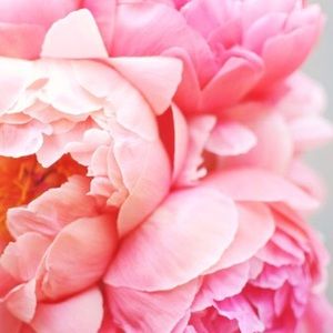 Meet your Posher, Isabelle