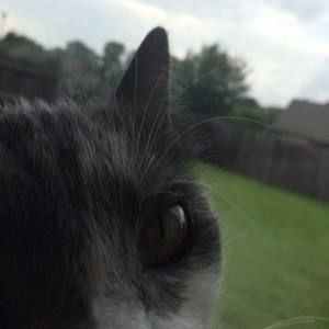 Meet your Posher, Layne