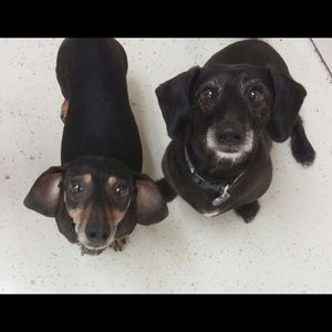 Meet your Posher, Brandie