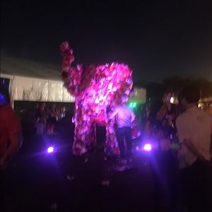 Meet your Posher, Alissa