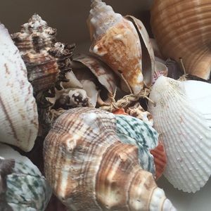 Meet your Posher, Yvette