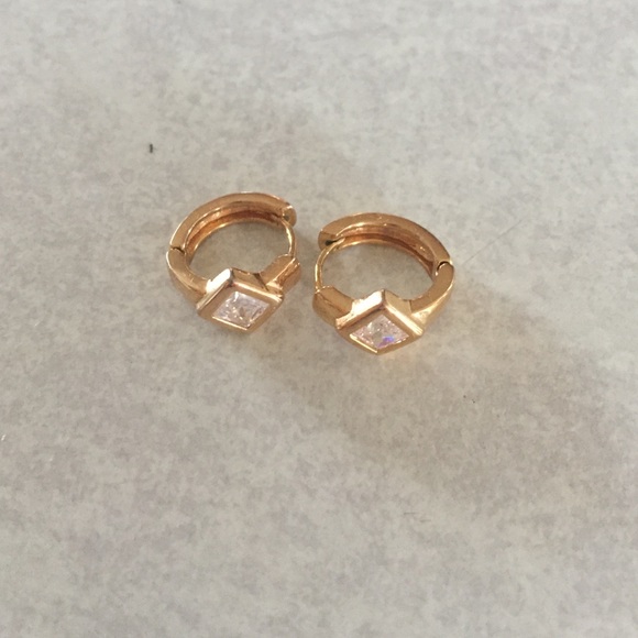 Small earrings