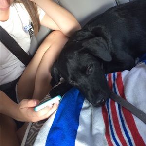 Meet your Posher, Niki