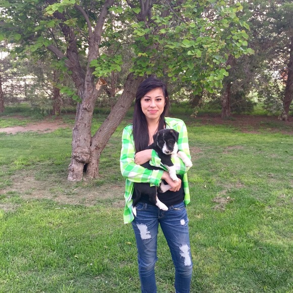 Meet your Posher, Suzie - Picture 5 of 8