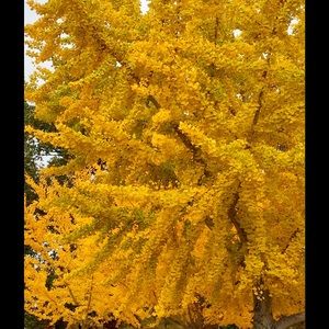 Meet your Posher, Jen