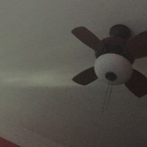 Meet your Posher, Carolina