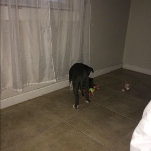 Meet your Posher, Gabby