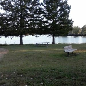 Meet your Posher, Dori