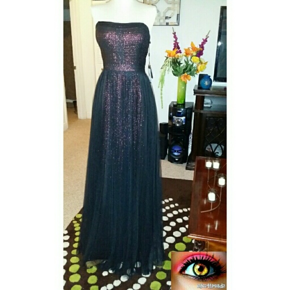 Elegant Metalic and Tulle Dress