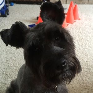 Meet your Posher, Jen