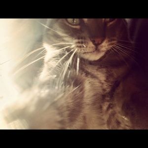 Meet your Posher, Ranie