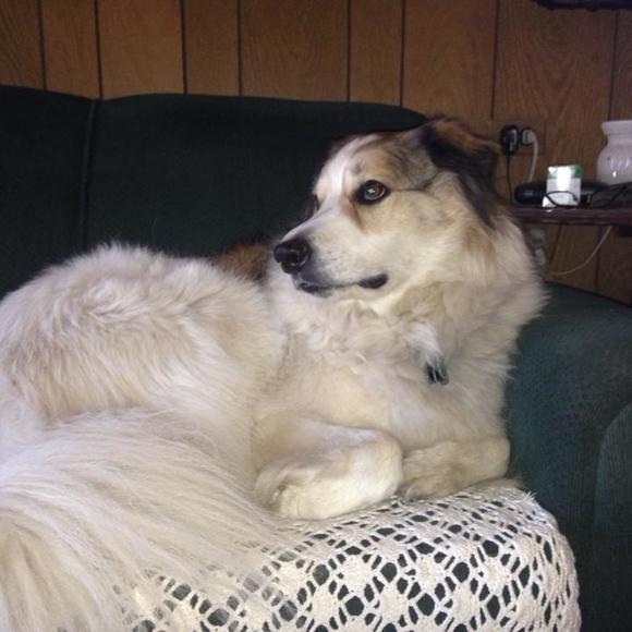 Meet your Posher, Debra