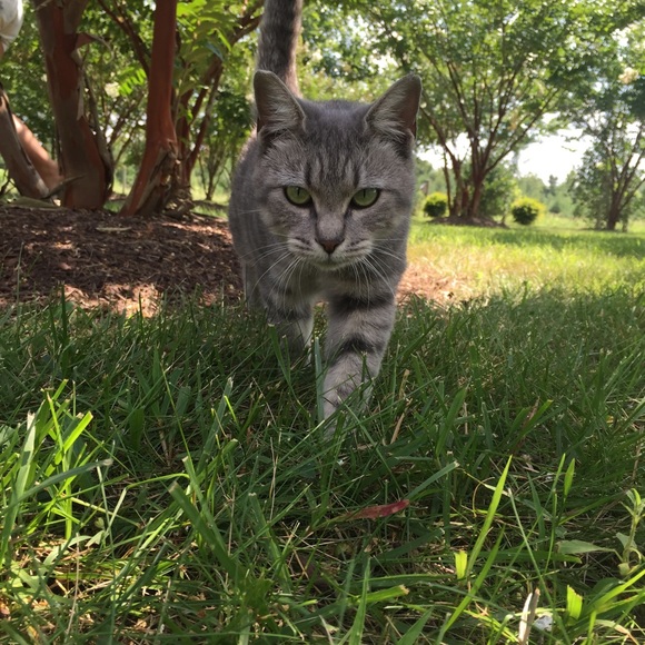 Meet your Posher, Erika