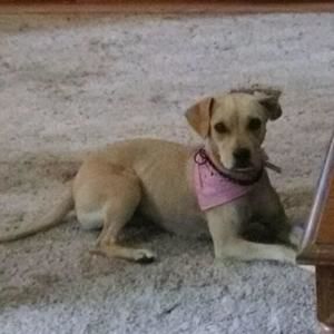 Meet your Posher, Sabrina