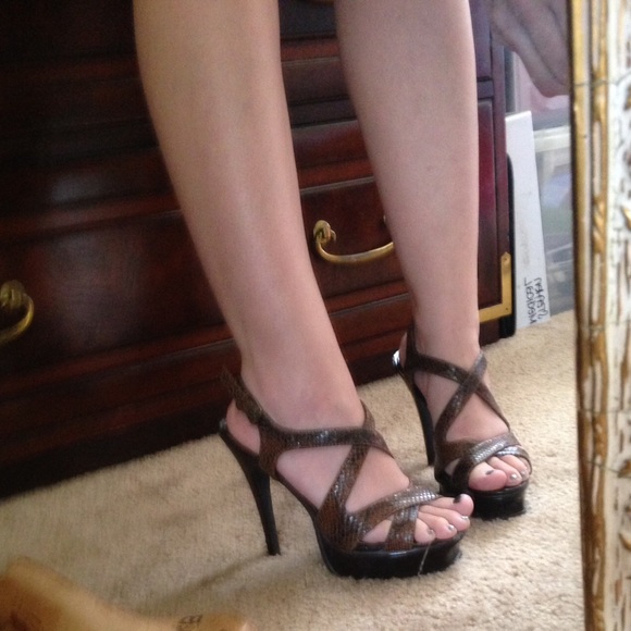 FREE Paprika Snakeskin Black & Brown Stiletto - Picture 2 of 4