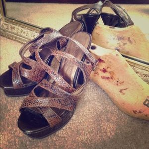 FREE Paprika Snakeskin Black & Brown Stiletto