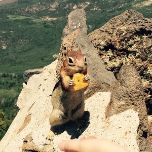 Meet your Posher, Jordan