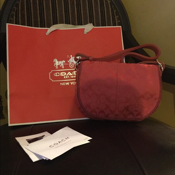Salmon Coach bag