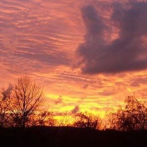 Meet your Posher, Terry