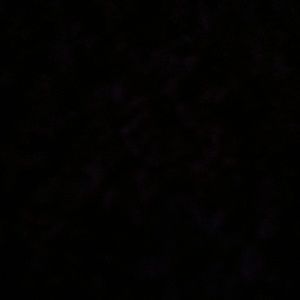 Meet your Posher, Sydney