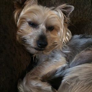 Meet your Posher, Shadda